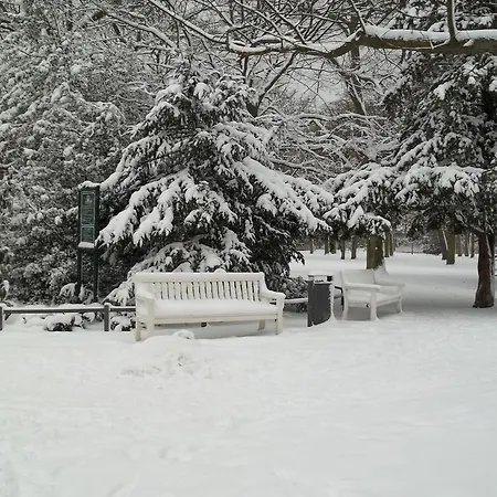 Haus Troja Росток