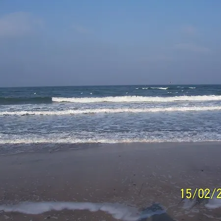 Haus Troja Росток